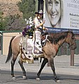 Picture Title - HORSE QUEEN