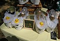 Picture Title - GNOMES BATHING