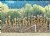 Dried Cornstalks