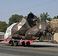 Picture Title - RHINO