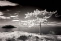 Picture Title - Bluff
