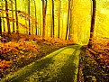 Picture Title - **A Simple Day**