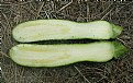 Picture Title - WHAT'S THIS 4