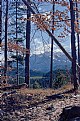 Picture Title - Hiking