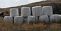 Picture Title - WHITE BALES