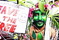 Picture Title - save the tree