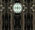 Picture Title - Cathedral
