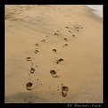 Picture Title - Imprints in the Sands