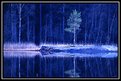 Picture Title - Blue night
