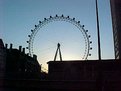 Picture Title - The London eye