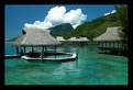 Picture Title - Polynesia #1