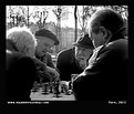 Picture Title - chess