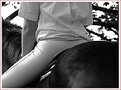 Picture Title - Horse and rider