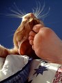 Picture Title - My Foot Loving Cat