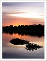 Picture Title - Sunrise in the Pantanal