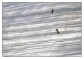 Picture Title - Skiers of shadows