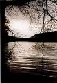 Picture Title - Silver sunset on Schlachtensee