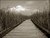 Marsh Boardwalk and Clouds