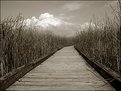 Picture Title - Marsh Boardwalk and Clouds