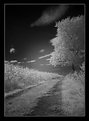 Picture Title - [ Landscape ]