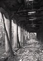 Picture Title - Abandoned Railway