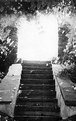 Picture Title - Stairway to the Unknown