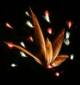 Picture Title - Firework-1-