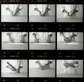 Picture Title - Selfportraits (Contact sheet)