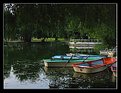 Picture Title - Boats