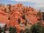 The Red Rocks of Utah...