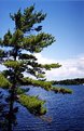 Picture Title - Magnificent Muskoka