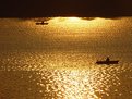 Picture Title - fishermen on a sea of gold