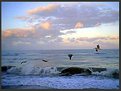 Picture Title - Cruising the Shoreline