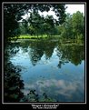 Picture Title - Morning in the Royal park