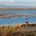 Picture Title - Nice Evening for a Jog...