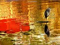 Picture Title - heron at sunrise