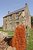 Derelict Farmhouse - Gower