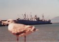 Picture Title - boat and bird