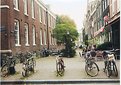 Picture Title - amsterdam