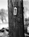Picture Title - Retired Telephone Pole