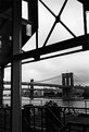 Picture Title - Brooklyn Bridge