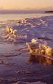 Picture Title - Morning Ice