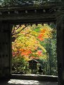 Picture Title - KYOTO Autumn-3-.