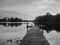 Picture Title - Lake Jetty, North Central Florida