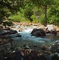 Picture Title - Cascading Falls