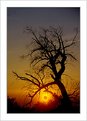 Picture Title - Ribatejo Sunset