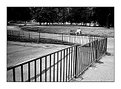 Picture Title - Fence of  solitude