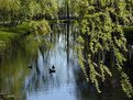 Picture Title - Domaine Maizeret