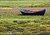 Boat, resting on grass...