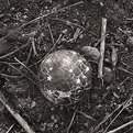 Picture Title - Toy Ball, 2002